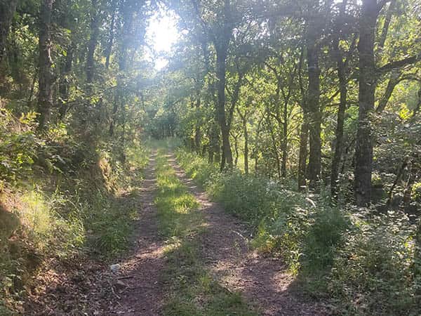 CAMINO minas de Hierro