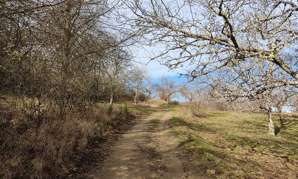 Columpio desde Rimor camino