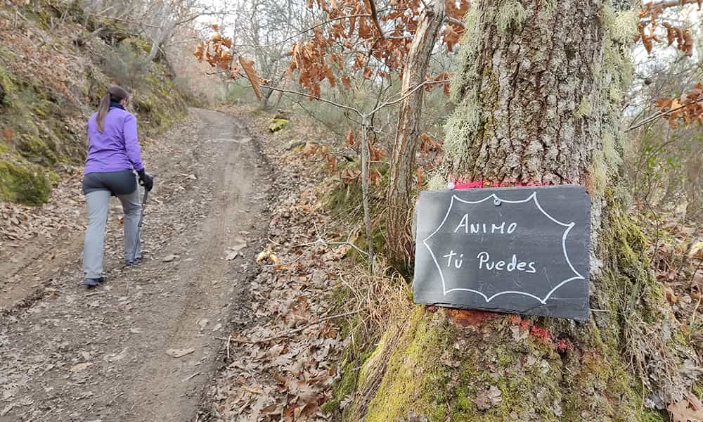 Columpio desde Rimor indicaciones ánimo
