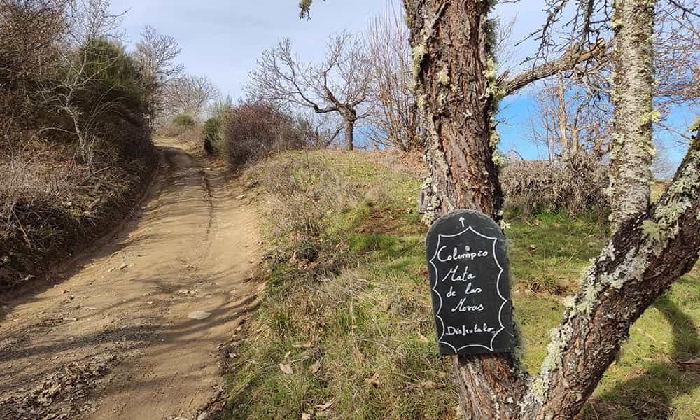 Columpio desde Rimor indicaciones continuas