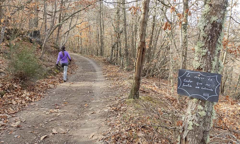 Columpio desde Rimor mas carteles