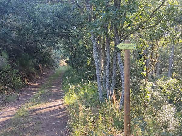 desvio hacia el cortin del conde