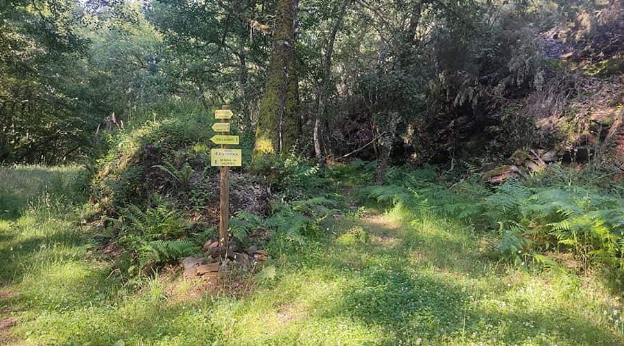 minas-de-hierro-en-Ocero-2