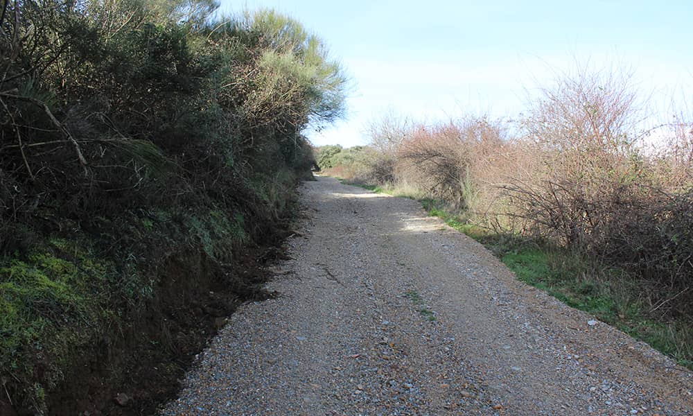 pista que va al columpio de corullón 2