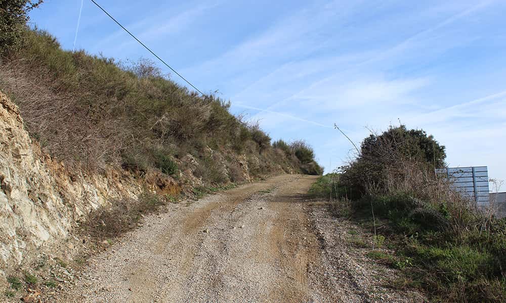 pista que va al columpio de corullón