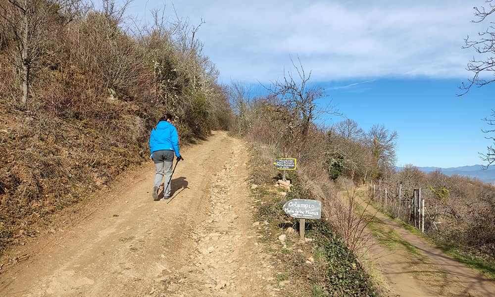 ruta desde rimor al columpio