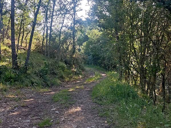 ruta minas de hierro en Ocero