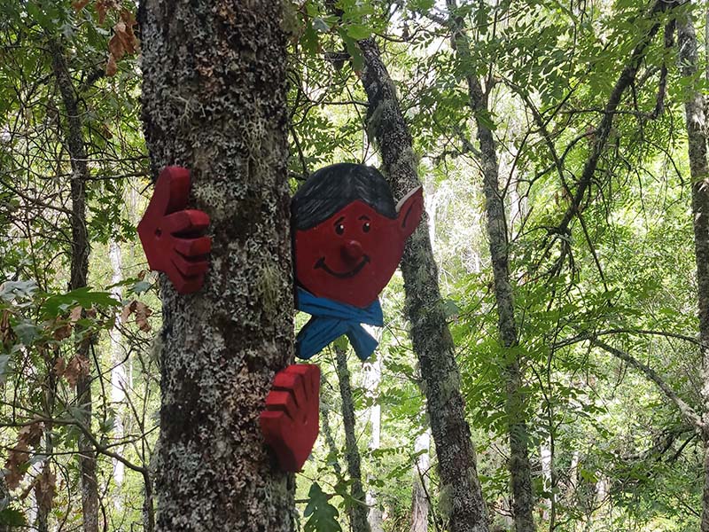 senda mágica de tremor de arriba 1