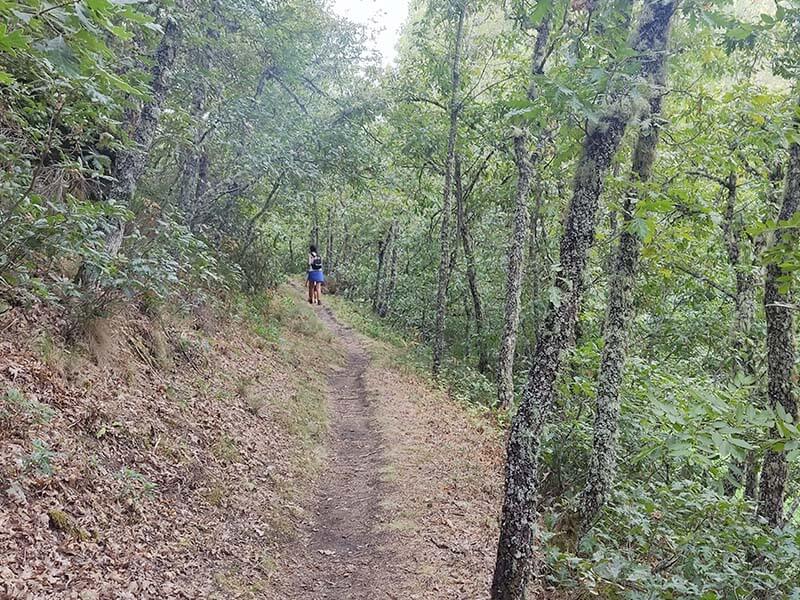senda mágica de tremor de arriba 3