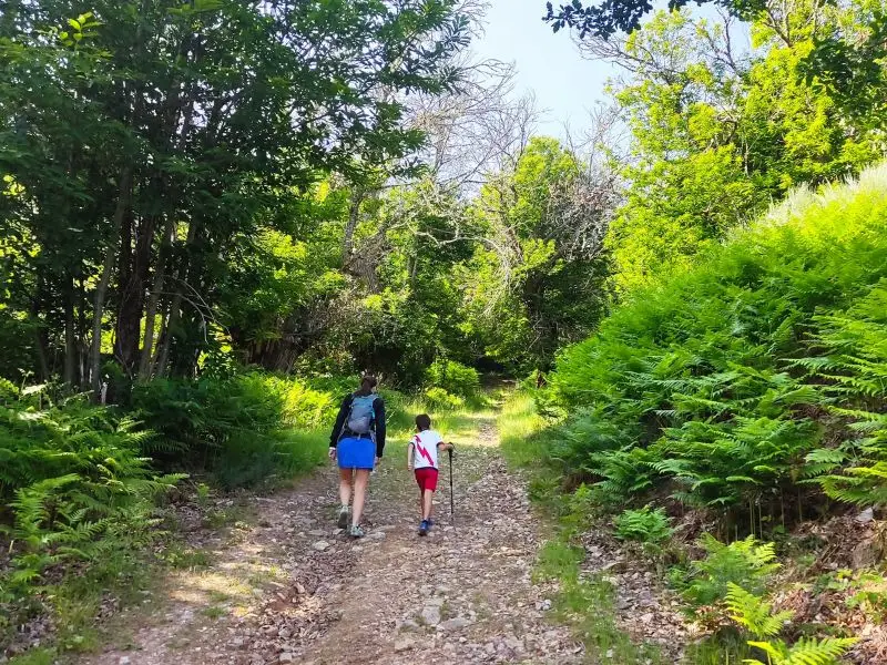 Subida al Pico Picón desde Espinareda de Vega